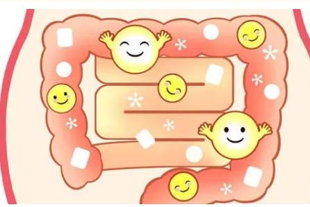 益生菌&乳铁蛋白，完美护肠搭档，增强免疫力，为宝宝健康保驾护航！